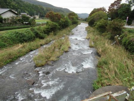 狩野川(狩野川漁業協同組合) 釣果