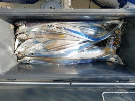 遊漁船 ニライカナイ 釣果