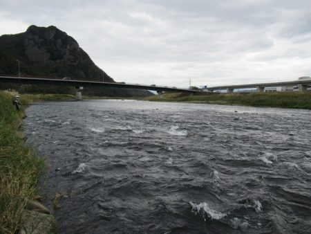 狩野川(狩野川漁業協同組合) 釣果