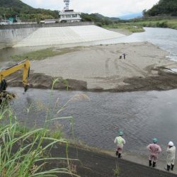 狩野川(狩野川漁業協同組合) 釣果