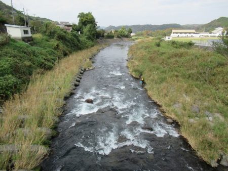 狩野川(狩野川漁業協同組合) 釣果