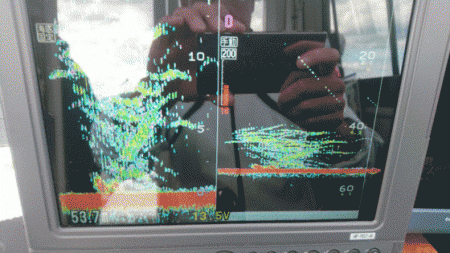 遊漁船ブルーウッズ 釣果