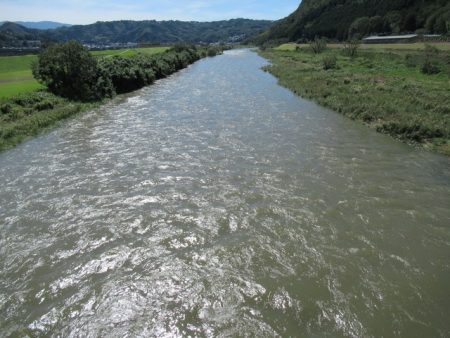 狩野川(狩野川漁業協同組合) 釣果