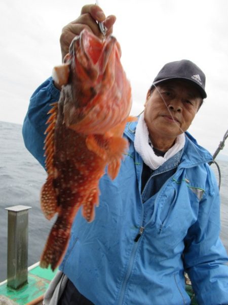 真祐丸 (しんゆうまる) 釣果