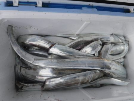 遊漁船 幸友丸 釣果