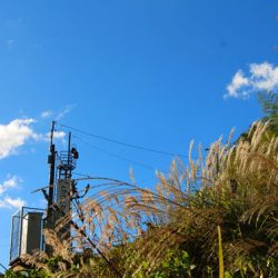 小菅トラウトガーデン 釣果