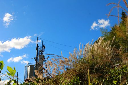 小菅トラウトガーデン 釣果