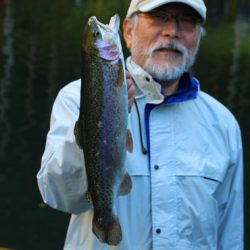 小菅トラウトガーデン 釣果