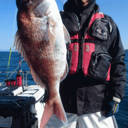 遊漁船ブルーウッズ 釣果