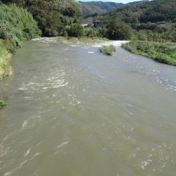 狩野川(狩野川漁業協同組合) 釣果