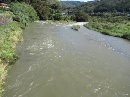 狩野川(狩野川漁業協同組合) 釣果