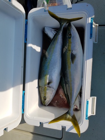 遊漁船 ニライカナイ 釣果