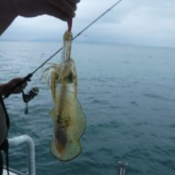 遊漁船 幸友丸 釣果