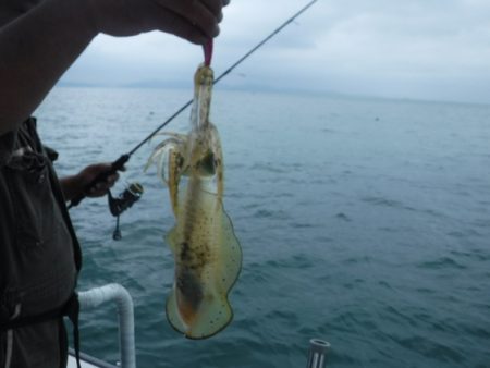 遊漁船 幸友丸 釣果