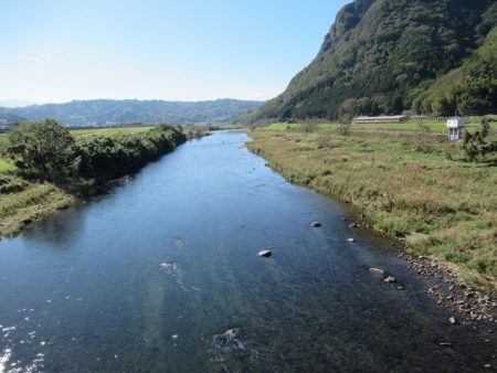 狩野川(狩野川漁業協同組合) 釣果
