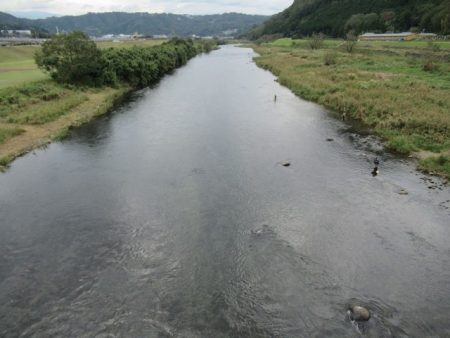 狩野川(狩野川漁業協同組合) 釣果