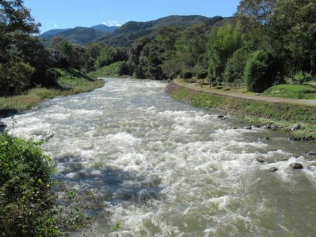 狩野川(狩野川漁業協同組合) 釣果