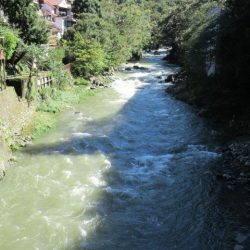 狩野川(狩野川漁業協同組合) 釣果