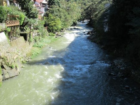 狩野川(狩野川漁業協同組合) 釣果