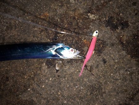 明石ワインド10