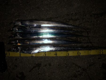 明石ワインド13