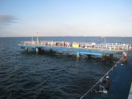 オリジナルメーカー海づり公園(市原市海づり施設) 釣果