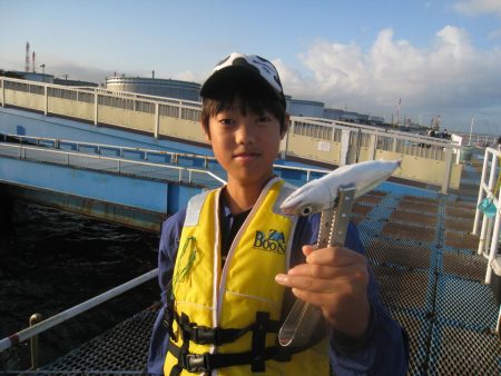 オリジナルメーカー海づり公園(市原市海づり施設) 釣果