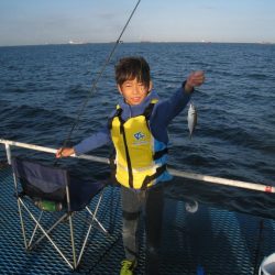 オリジナルメーカー海づり公園(市原市海づり施設) 釣果