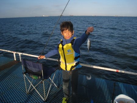 オリジナルメーカー海づり公園(市原市海づり施設) 釣果