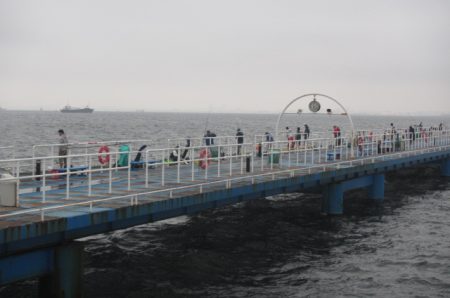オリジナルメーカー海づり公園(市原市海づり施設) 釣果