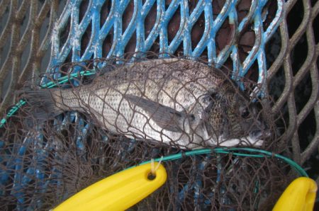 オリジナルメーカー海づり公園(市原市海づり…