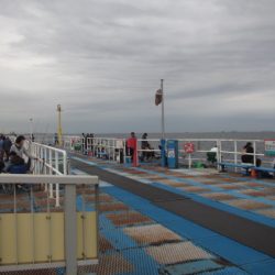 オリジナルメーカー海づり公園(市原市海づり施設) 釣果