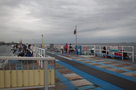 オリジナルメーカー海づり公園(市原市海づり施設) 釣果