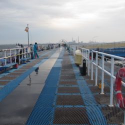 オリジナルメーカー海づり公園(市原市海づり施設) 釣果