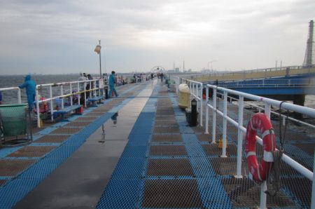 オリジナルメーカー海づり公園(市原市海づり施設) 釣果