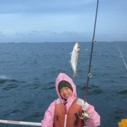 オリジナルメーカー海づり公園(市原市海づり施設) 釣果