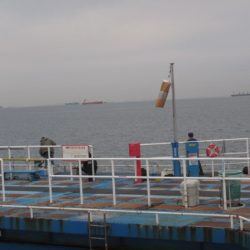 オリジナルメーカー海づり公園(市原市海づり施設) 釣果