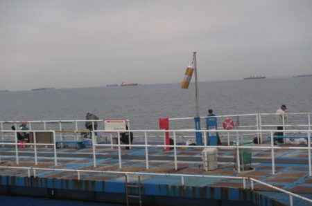 オリジナルメーカー海づり公園(市原市海づり施設) 釣果