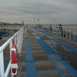 オリジナルメーカー海づり公園(市原市海づり施設) 釣果