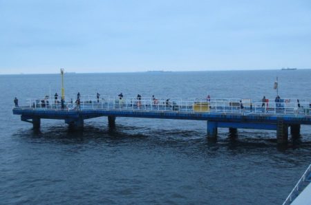 オリジナルメーカー海づり公園(市原市海づり施設) 釣果