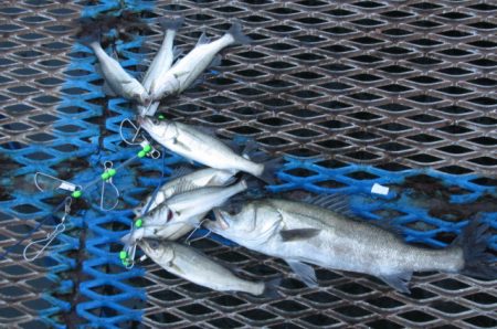 オリジナルメーカー海づり公園(市原市海づり…