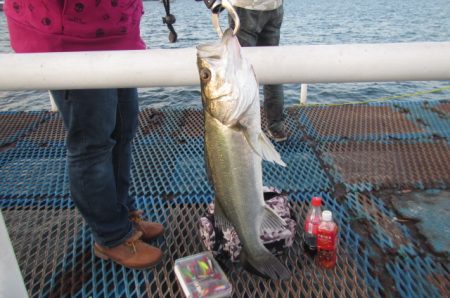 オリジナルメーカー海づり公園(市原市海づり…