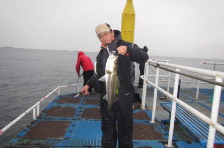 オリジナルメーカー海づり公園(市原市海づり施設) 釣果