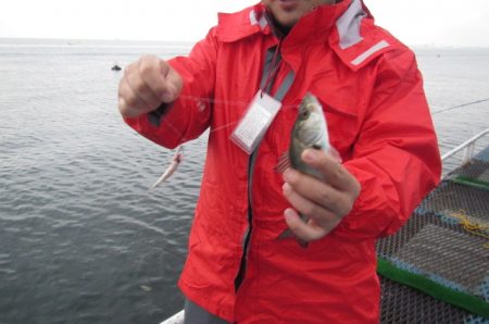 オリジナルメーカー海づり公園(市原市海づり施設) 釣果