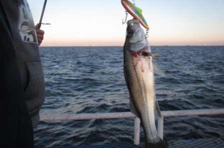 オリジナルメーカー海づり公園(市原市海づり…