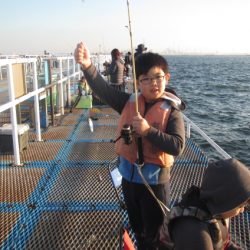 オリジナルメーカー海づり公園(市原市海づり施設) 釣果