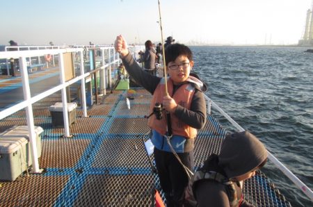 オリジナルメーカー海づり公園(市原市海づり施設) 釣果