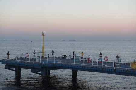 オリジナルメーカー海づり公園(市原市海づり施設) 釣果