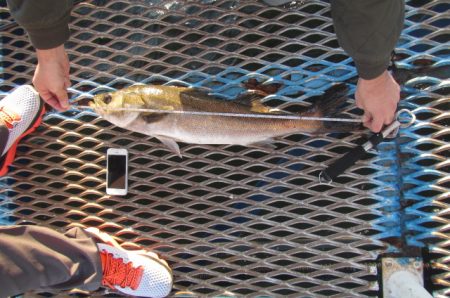 オリジナルメーカー海づり公園(市原市海づり…