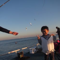 オリジナルメーカー海づり公園(市原市海づり施設) 釣果